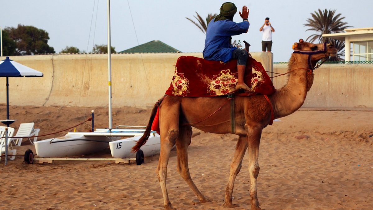 Opter pour des séjours en famille à Agadir : quels avantages ?